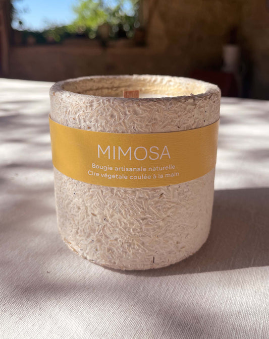 Mimosa - atmosphère lumineuse