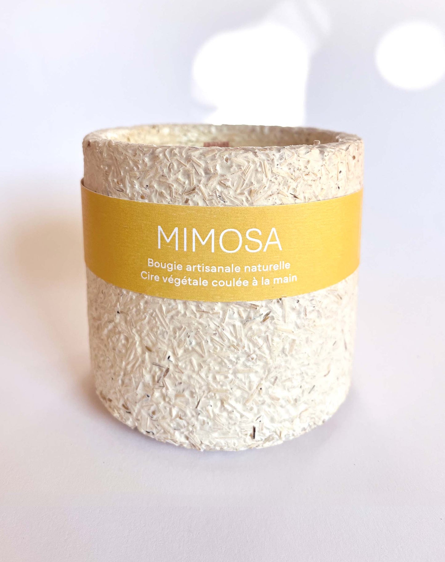 Mimosa - atmosphère lumineuse