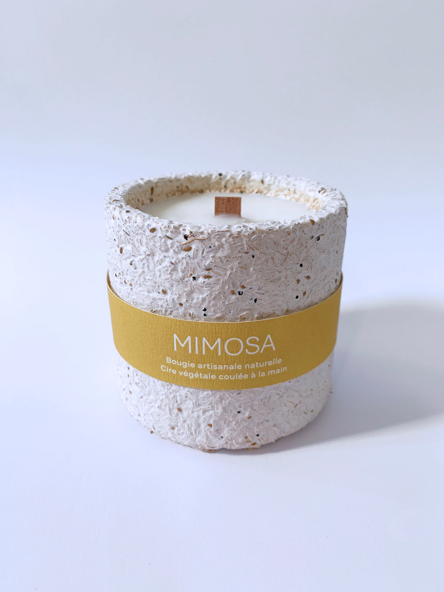 Mimosa