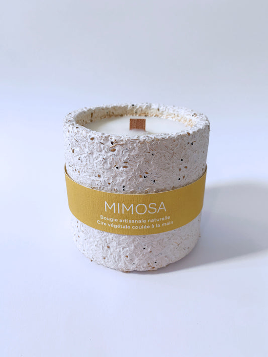 Mimosa