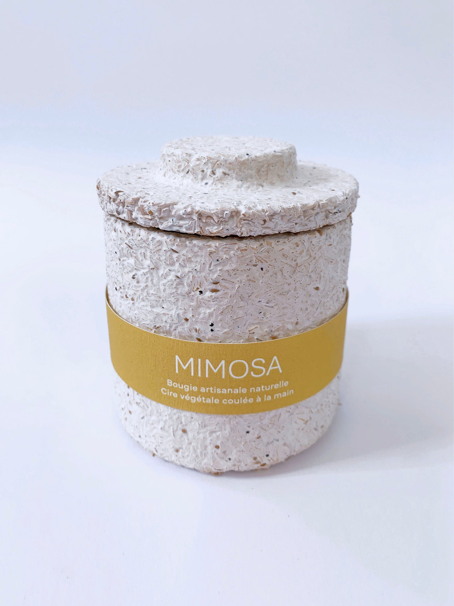 Mimosa