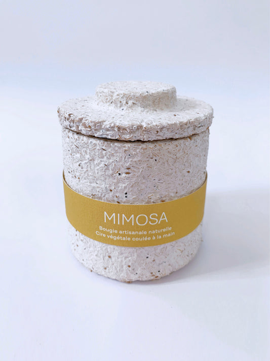 Mimosa